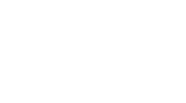 Bordeaux Wine Logo