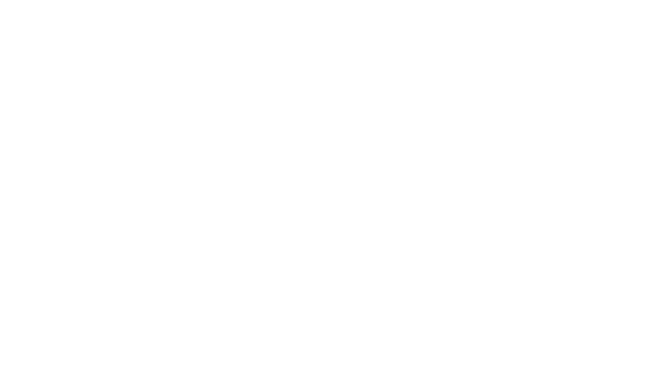 Bordeaux Wines